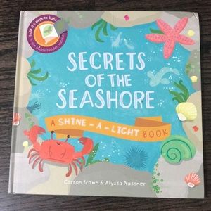 Children’s Hardcover Shine a light book.